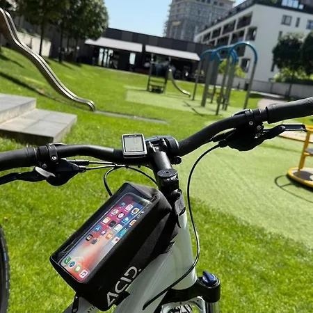 Golden Sunflower Apartment