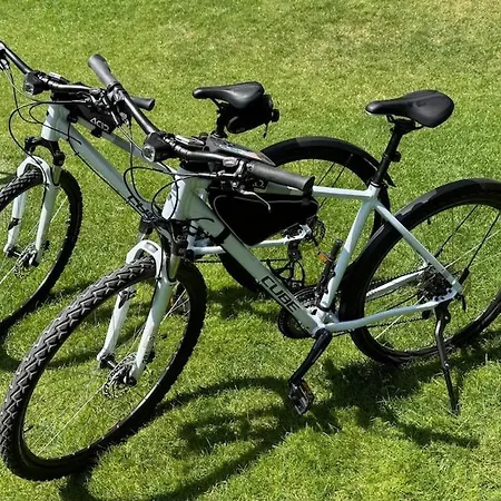 Apartment Golden Sunflower