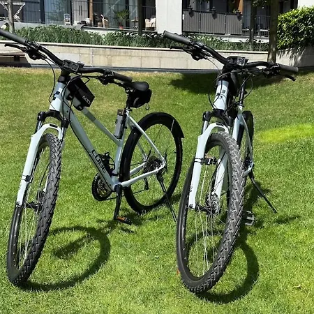 Golden Sunflower Μπρατισλάβα