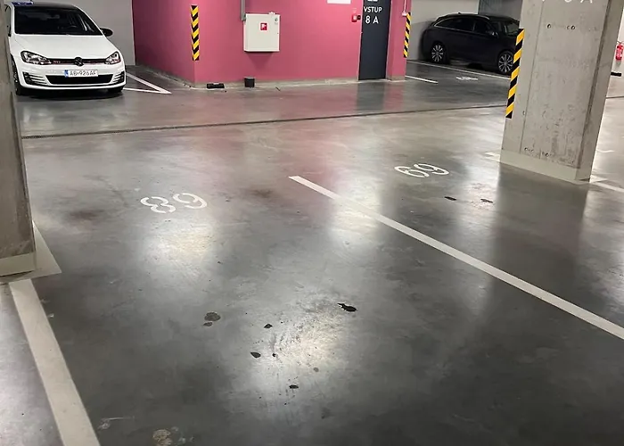 Golden Sunflower * Bratislava