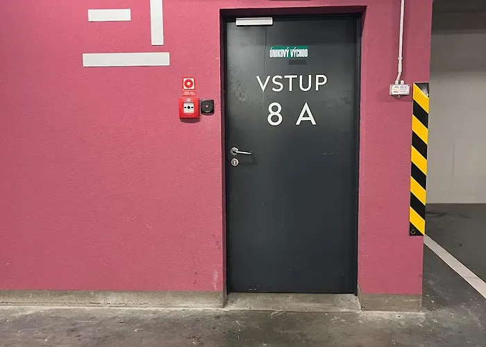 Golden Sunflower * ברטיסלאבה