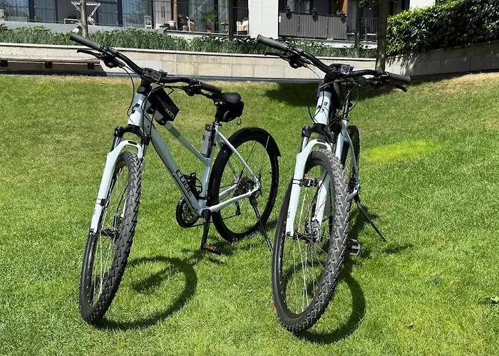 Golden Sunflower ברטיסלאבה