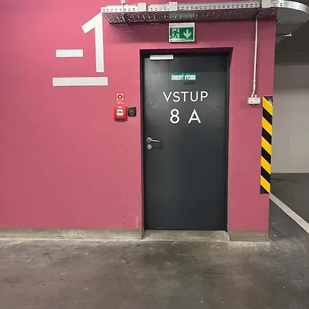 Golden Sunflower * 브라티슬라바