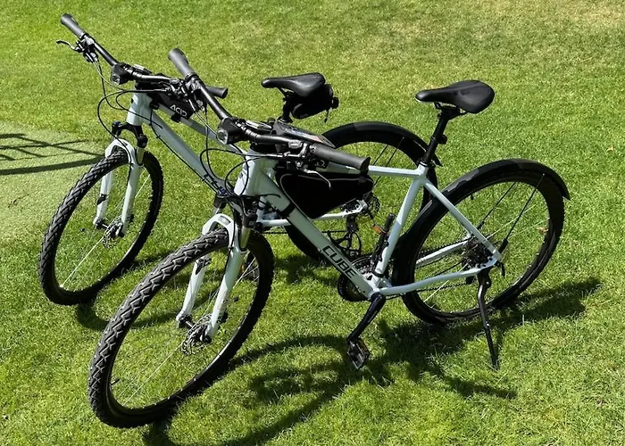 Apartament Golden Sunflower